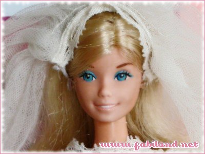 http://barbimg.fabiland.net/accueil/bar_vis_beautifulbride.jpg